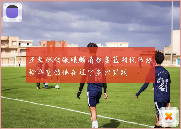 王哲林向张镇麟请教剪篮网技巧经验丰富的他在辽宁多次实践